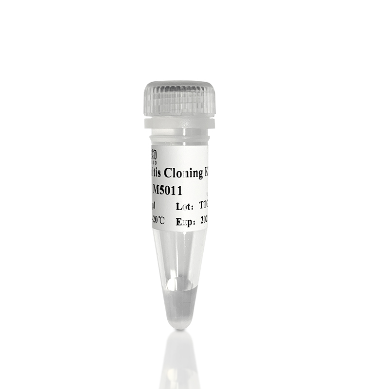 M501 Magic MultiS One Step Cloning kit
